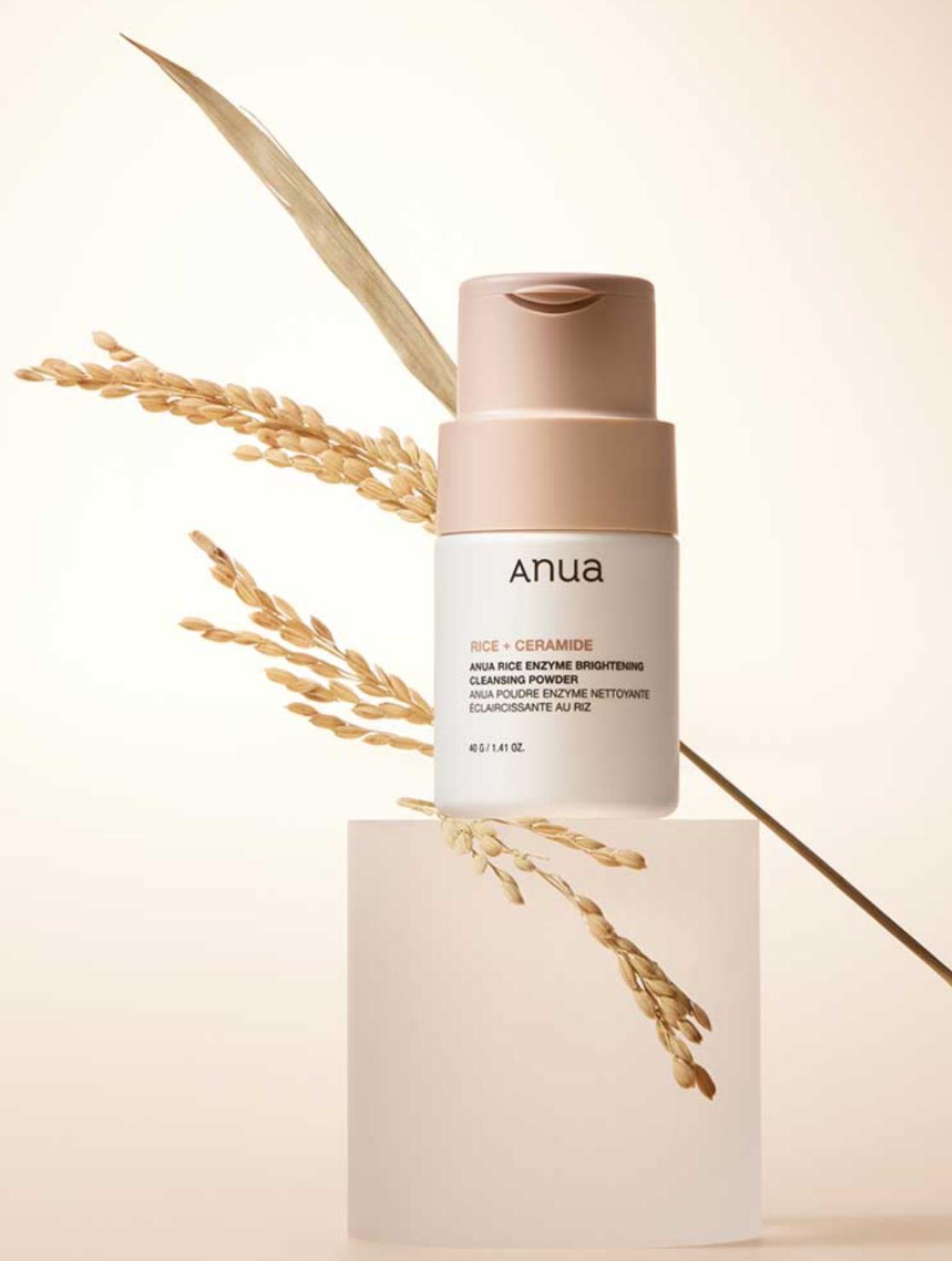 POLVO LIMPIADOR DE ENZIMAS DE ARROZ ANUA